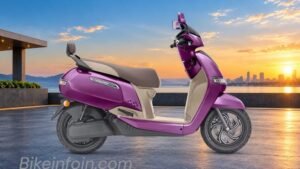 Magnificence Purple