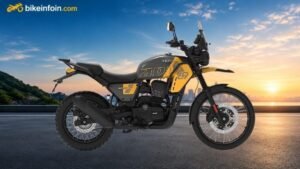 Yellow Falcon (Tubeless)